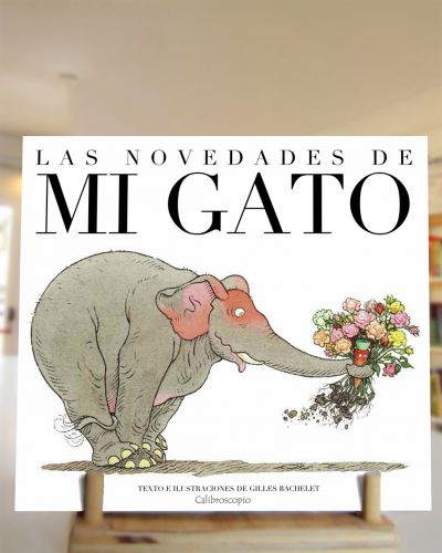 LAS NOVEDADES DE MI GATO